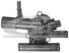 NISSA 11060AW300 Thermostat, coolant